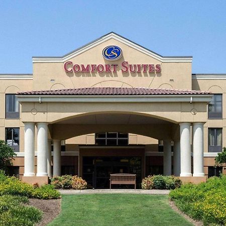 Comfort Suites Starkville Ngoại thất bức ảnh