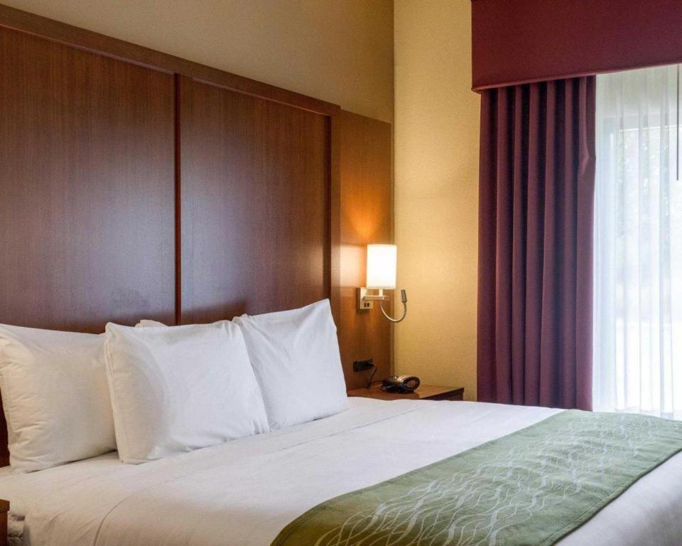 Comfort Suites Starkville Ngoại thất bức ảnh