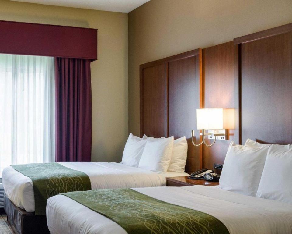 Comfort Suites Starkville Ngoại thất bức ảnh