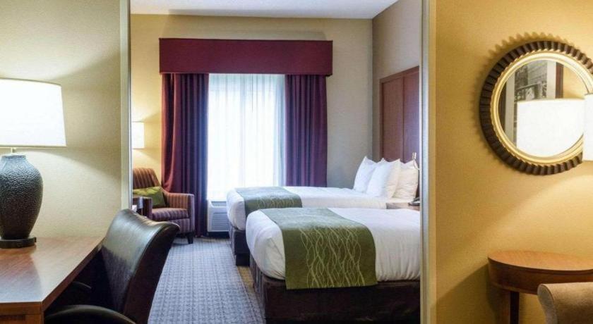 Comfort Suites Starkville Ngoại thất bức ảnh