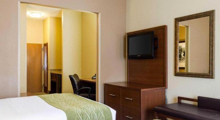 Comfort Suites Starkville Ngoại thất bức ảnh