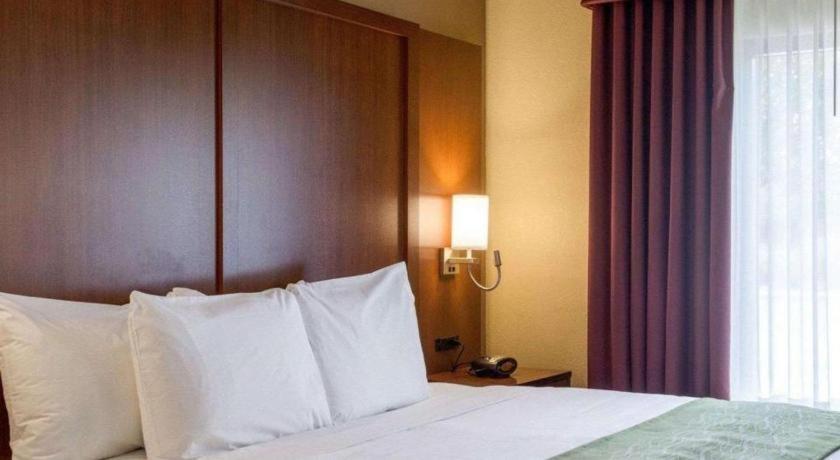 Comfort Suites Starkville Ngoại thất bức ảnh